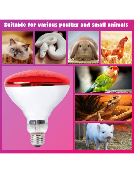 Lámpara de Calor Infrarroja LUCKY HERP 250W para Pollos y Reptiles