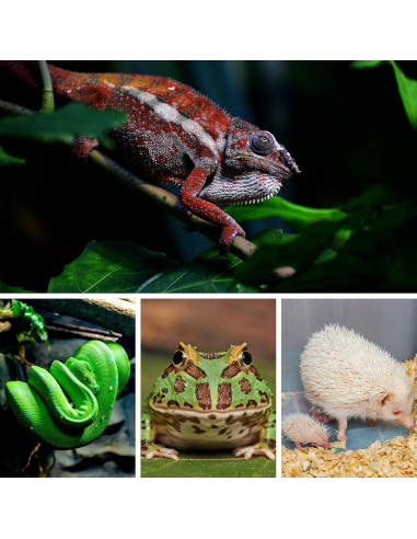 Almohadilla de Calentamiento para Reptiles Pymeter 20x30 cm con Termostato PID