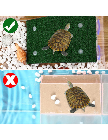 Juego de 8 Accesorios para Acuario Tortugas Janinka