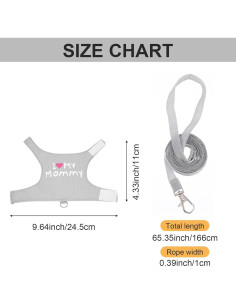 Arnés y Correa Ajustable para Dragón Barbudo ElevateTech - Gris 2