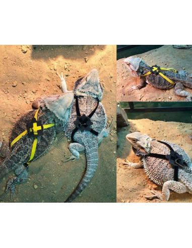 Arnés Ajustable para Reptiles Sawyd - Azul, 40cm