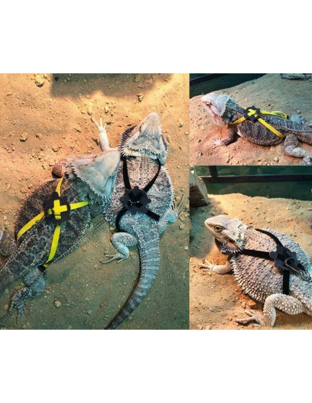 Arnés Ajustable para Reptiles Sawyd - Azul, 40cm