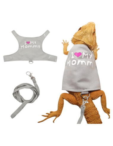 Conjunto Arnés y Correa para Dragón Barbudo Copfeu Gris