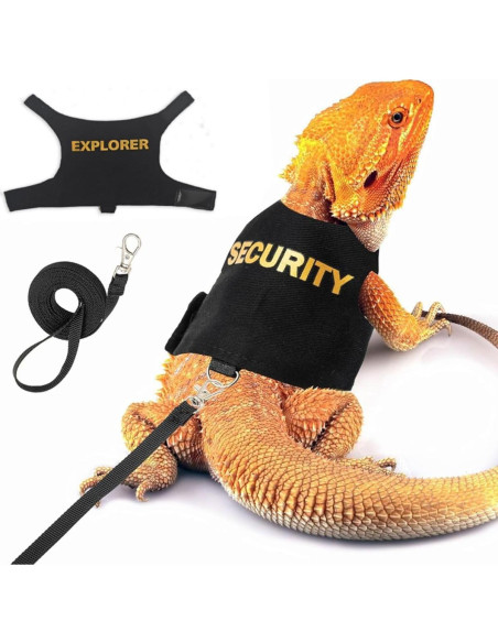 Conjunto Arnés y Correa para Dragón Barbudo Copfeu Gris