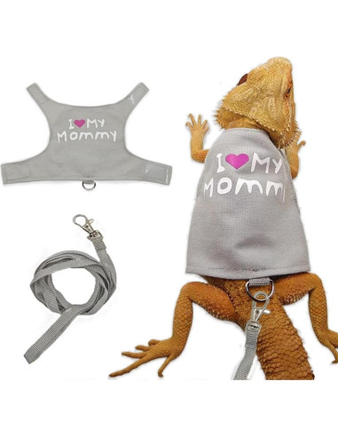 Conjunto Arnés y Correa para Dragón Barbudo Copfeu Gris