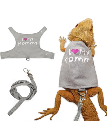 Conjunto Arnés y Correa para Dragón Barbudo Copfeu Gris
