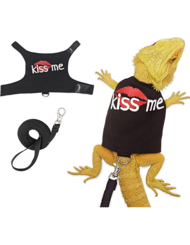 Conjunto Arnés y Correa para Dragón Barbudo Copfeu Gris