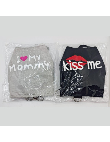 Conjunto Arnés y Correa para Dragón Barbudo Copfeu Gris