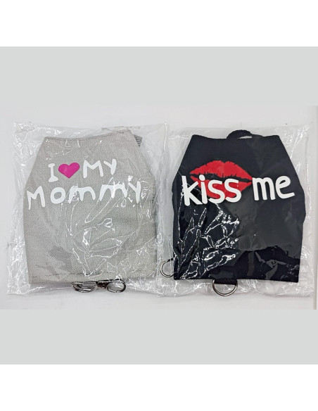 Conjunto Arnés y Correa para Dragón Barbudo Copfeu Gris