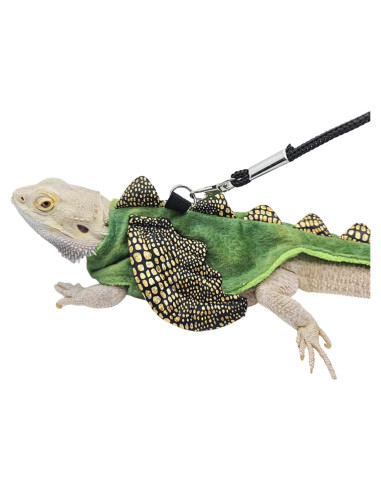 Conjunto Arnés y Correa Dragón Barbudo WCDJOMOP S Verde