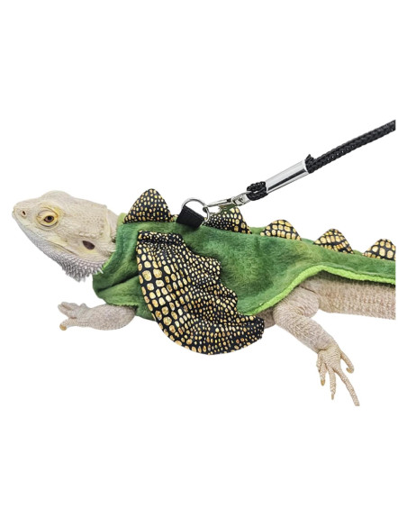 Conjunto Arnés y Correa Dragón Barbudo WCDJOMOP S Verde