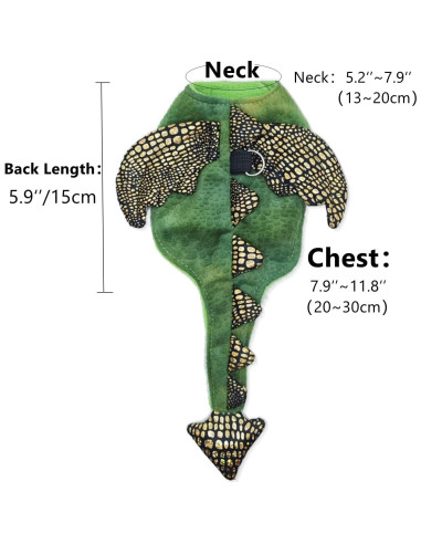 Conjunto Arnés y Correa Dragón Barbudo WCDJOMOP S Verde