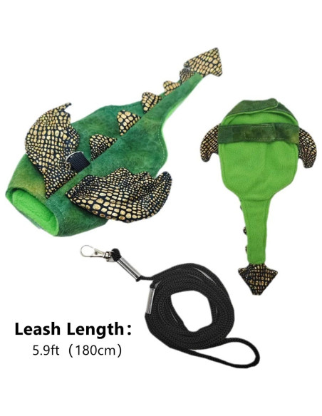 Conjunto Arnés y Correa Dragón Barbudo WCDJOMOP S Verde