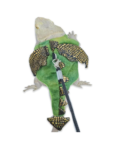 Conjunto Arnés y Correa Dragón Barbudo WCDJOMOP S Verde