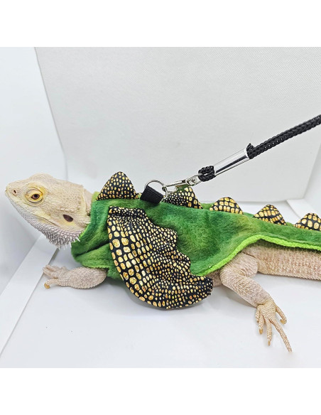 Conjunto Arnés y Correa Dragón Barbudo WCDJOMOP S Verde