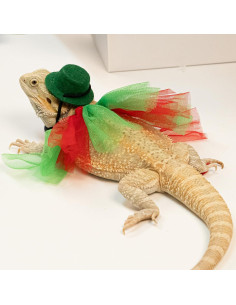 Disfraz de Dragón Barbudo WODISON Navidad con Sombrero y Falda 2