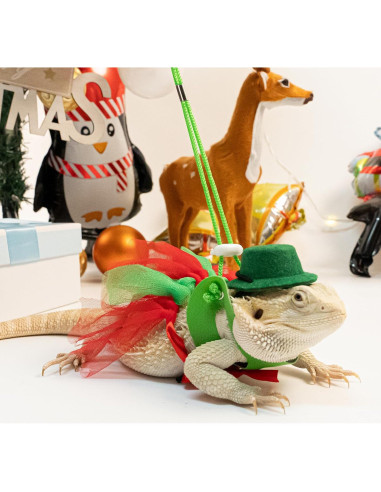 Disfraz de Dragón Barbudo WODISON Navidad con Sombrero y Falda