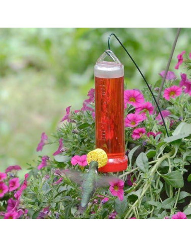 Alimentador de Colibrí Perky-Pet 85g con Varilla Colgante