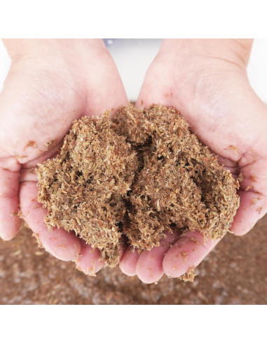 Sustrato de fibra de musgo esfagno Begeterday 2L para cangrejos