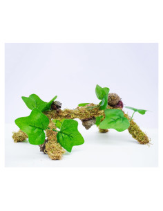 Poste de Musgo para Cangrejos Ermitaños Begeterday 30 cm