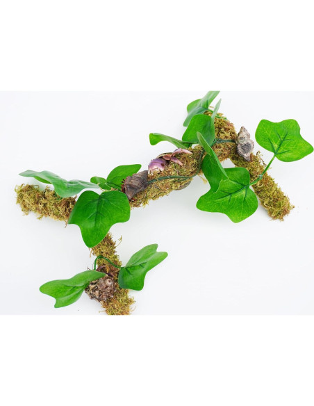 Poste de Musgo para Cangrejos Ermitaños Begeterday 30 cm