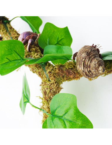 Poste de Musgo para Cangrejos Ermitaños Begeterday 30 cm