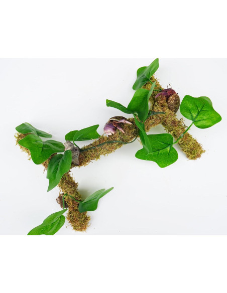 Poste de Musgo para Cangrejos Ermitaños Begeterday 30 cm