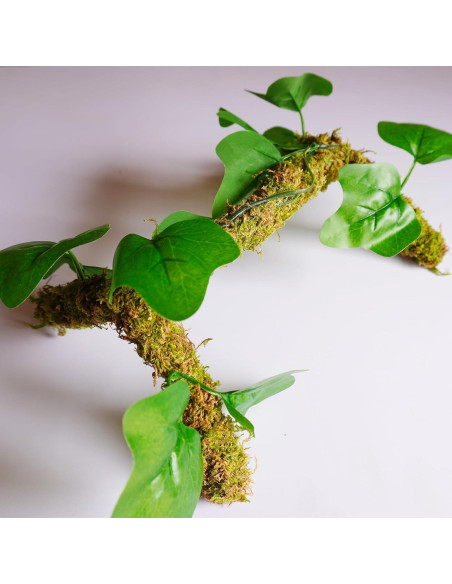 Poste de Musgo para Cangrejos Ermitaños Begeterday 30 cm