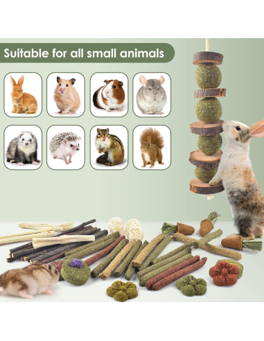 Juguetes de Masticar para Conejos ERKOON 42 PCS Cuidado Dental