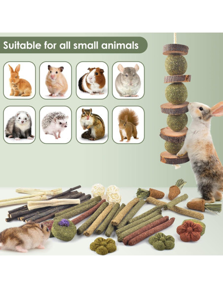 Juguetes de Masticar para Conejos ERKOON 42 PCS Cuidado Dental