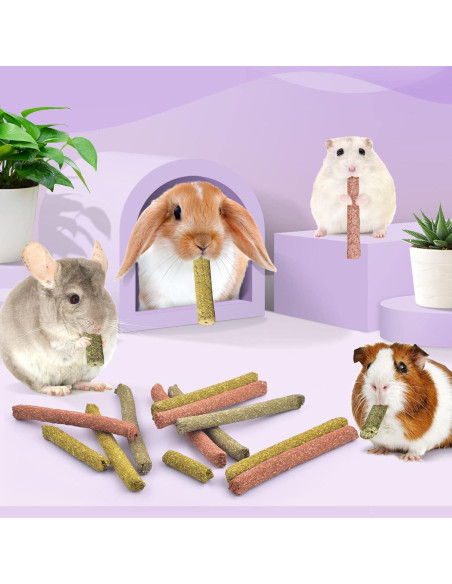 Palitos de Masticar Conejo Bissap 36PCS Heno Timothy y Zanahoria