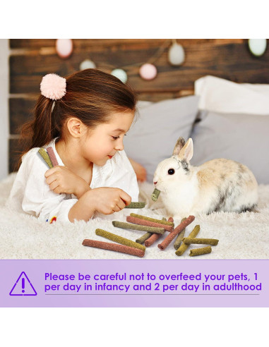 Palitos de Masticar Conejo Bissap 36PCS Heno Timothy y Zanahoria