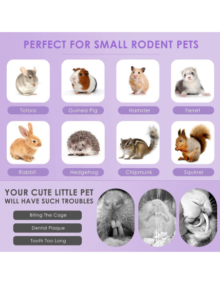 Palitos de Masticar Conejo Bissap 36PCS Heno Timothy y Zanahoria