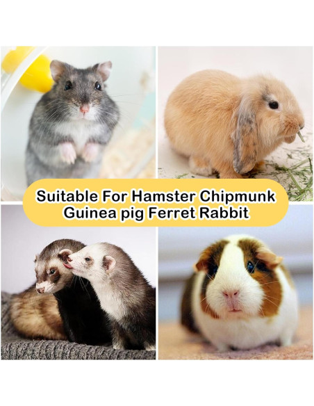 Juguetes de Masticar para Conejos MUYG - 4 Pcs Rama de Manzana