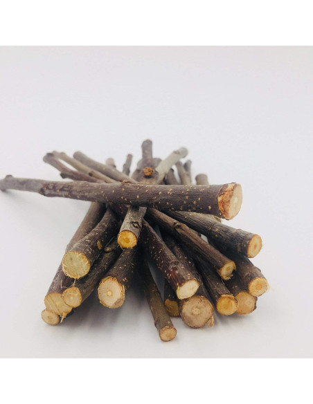 Ramas de Manzano Natural William Craft 100g para Mascotas