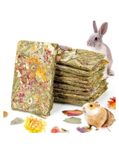 Galletas Naturales para Conejos Abizoo - 10 Piezas Heno Timothy