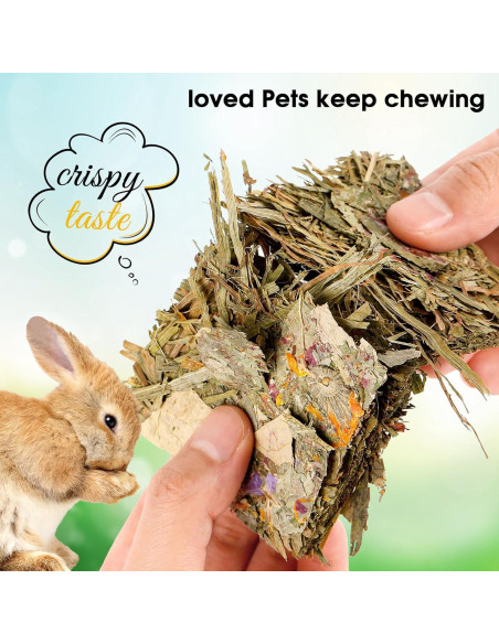 Galletas Naturales para Conejos Abizoo - 10 Piezas Heno Timothy