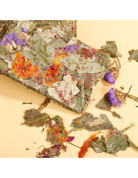 Galletas Naturales para Conejos Abizoo - 10 Piezas Heno Timothy