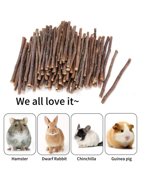 Palitos de Manzana Naturales CHUHUAYUAN 100g para Mascotas