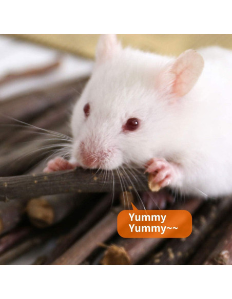 Palitos de Manzana Naturales CHUHUAYUAN 100g para Mascotas