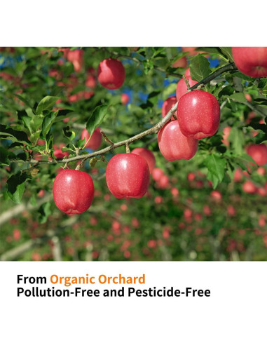 Palitos de Manzana Naturales CHUHUAYUAN 100g para Mascotas