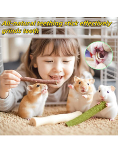 Juguete Masticable para Conejos NSWXZDS 142g - Heno Timothy y Manzana 2