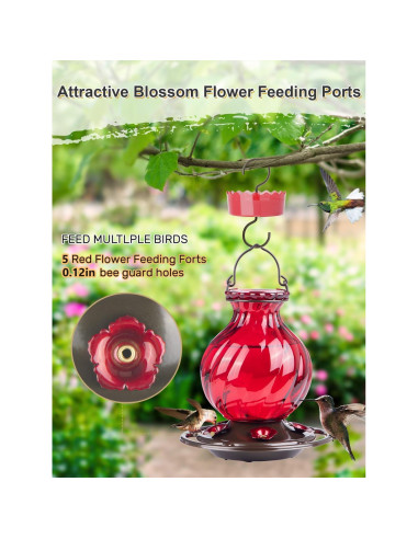 Alimentador de Colibríes Auslar 0.77L Vidrio Rojo Colgante