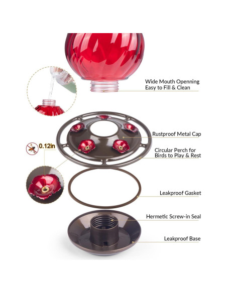 Alimentador de Colibríes Auslar 0.77L Vidrio Rojo Colgante