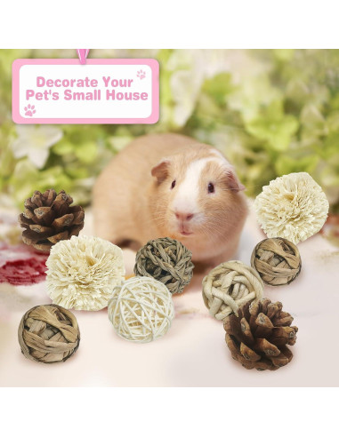 Bolas de Masticar Naturales Kathson para Conejos - 12 Piezas