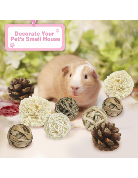 Bolas de Masticar Naturales Kathson para Conejos - 12 Piezas