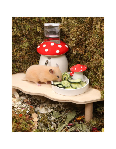 Snack para Hámster Niteangel - Pepinos Liofilizados 59g