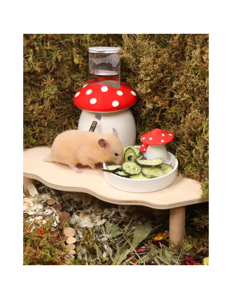 Snack para Hámster Niteangel - Pepinos Liofilizados 59g