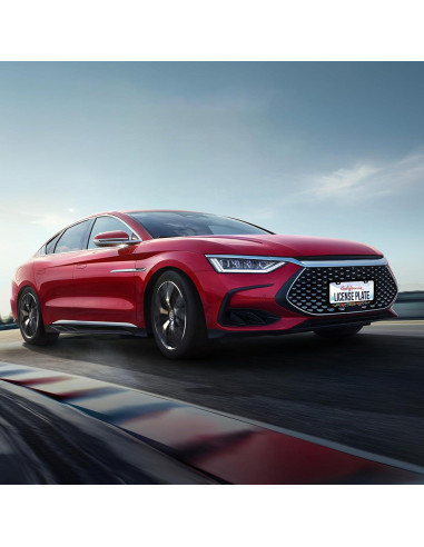 Marco de Placa de Licencia Acero Inoxidable BRAGHRTED Flores Hippie