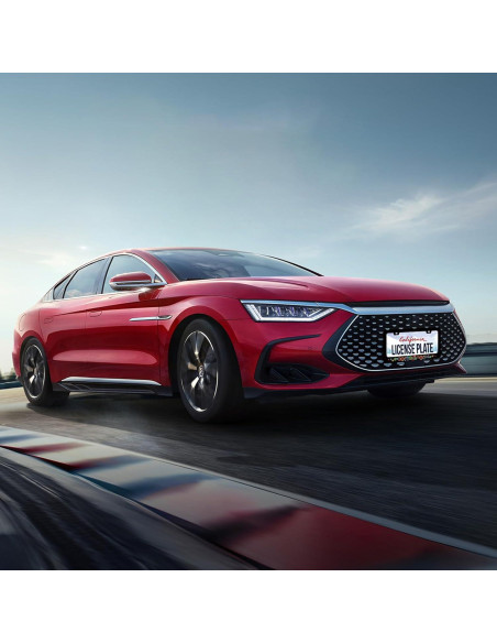 Marco de Placa de Licencia Acero Inoxidable BRAGHRTED Flores Hippie